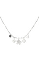couleur argent Image2