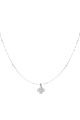 couleur argent Image2