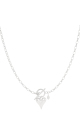 couleur argent Image2