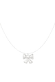 couleur argent Image2