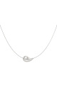 couleur argent Image2