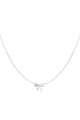 couleur argent Image2