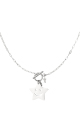 couleur argent Image2
