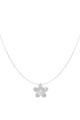 couleur argent Image2