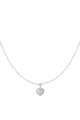 couleur argent 