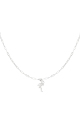 couleur argent Image2