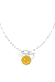 couleur argent Image2