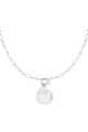 couleur argent Image2