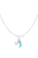 couleur argent Image2