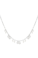 couleur argent Image2