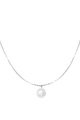 couleur argent 