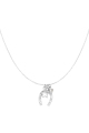 couleur argent Image2