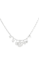 couleur argent Image2