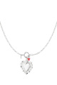 couleur argent Image2