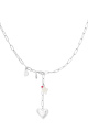 couleur argent 