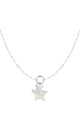 couleur argent Image2