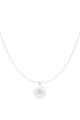 couleur argent Image2