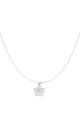 couleur argent Image2