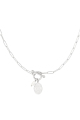 couleur argent Image2