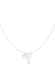 couleur argent Image2