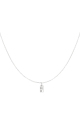 couleur argent Image2