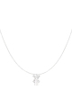 couleur argent Image2
