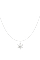 couleur argent Image2