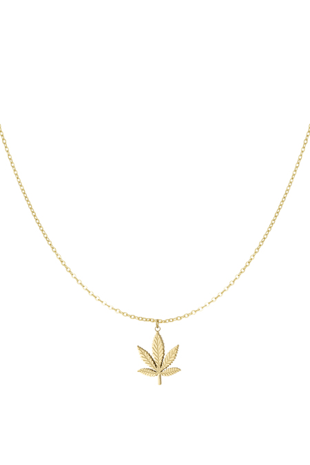 collier canna bliss