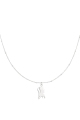 couleur argent Image2
