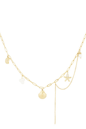 Collier Coquillage h5 
