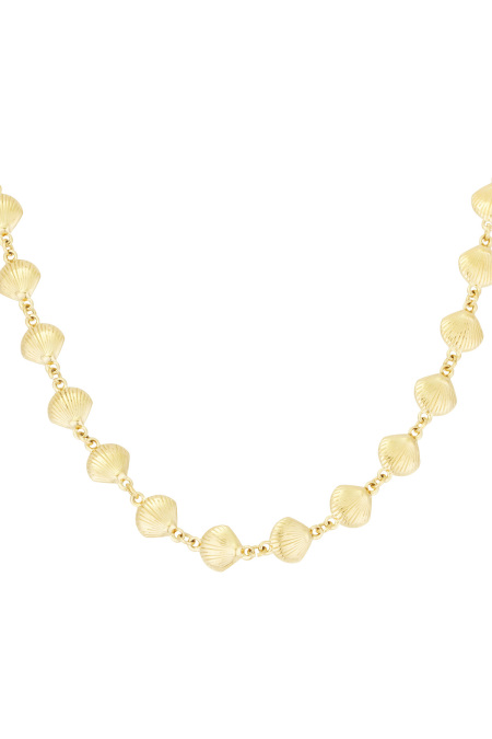 collier coquillage trio