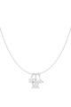 couleur argent Image2