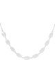 couleur argent Image2