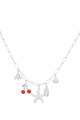couleur argent Image2