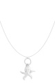 couleur argent Image2