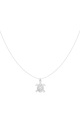 couleur argent Image2