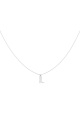 couleur argent Image2
