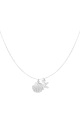 couleur argent Image2