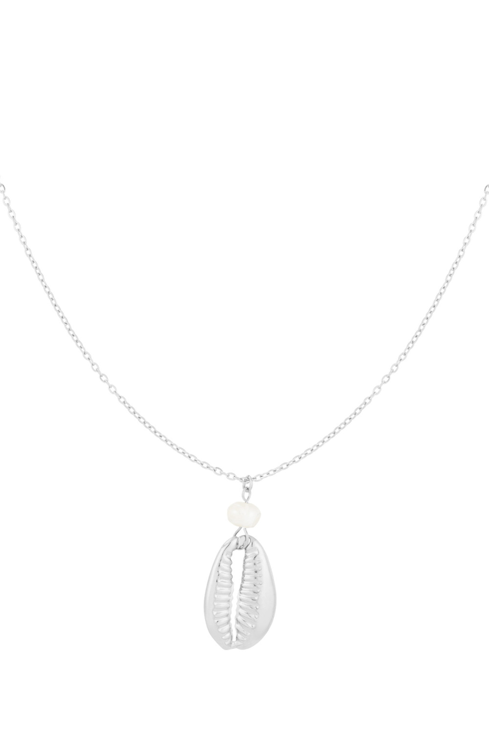 Collier Sandy Shores 