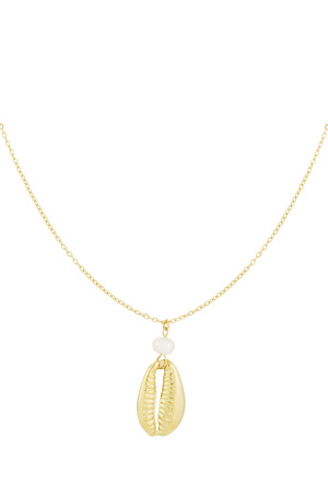 Collier Sandy Shores h5 