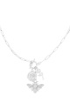 couleur argent Image2