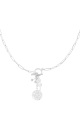 couleur argent Image2