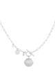 couleur argent Image2