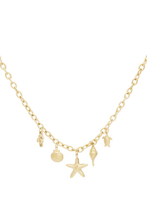 Collier Brise Marine h5