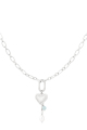 couleur argent Image2