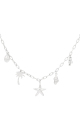 couleur argent Image2
