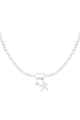 couleur argent Image2