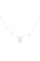 couleur argent Image2