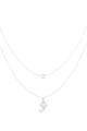 couleur argent Image2