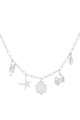 couleur argent Image2